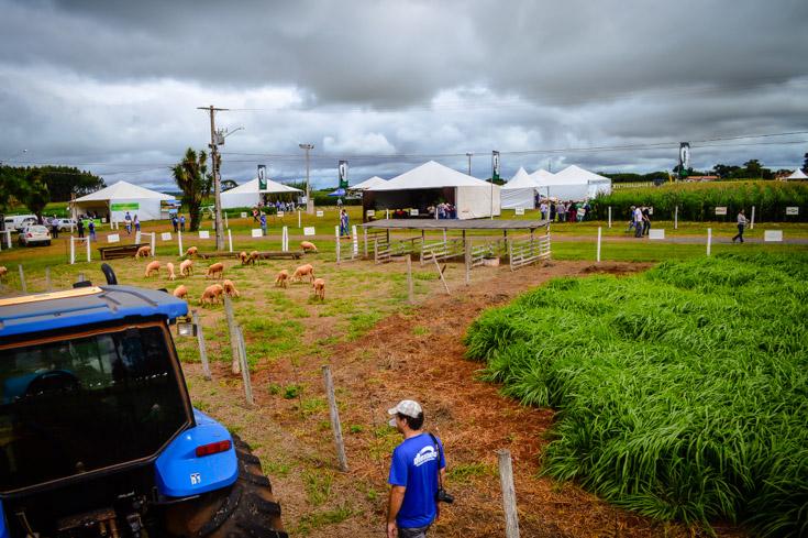 Pastagens e plataformas digitais são atrações da Dinapec