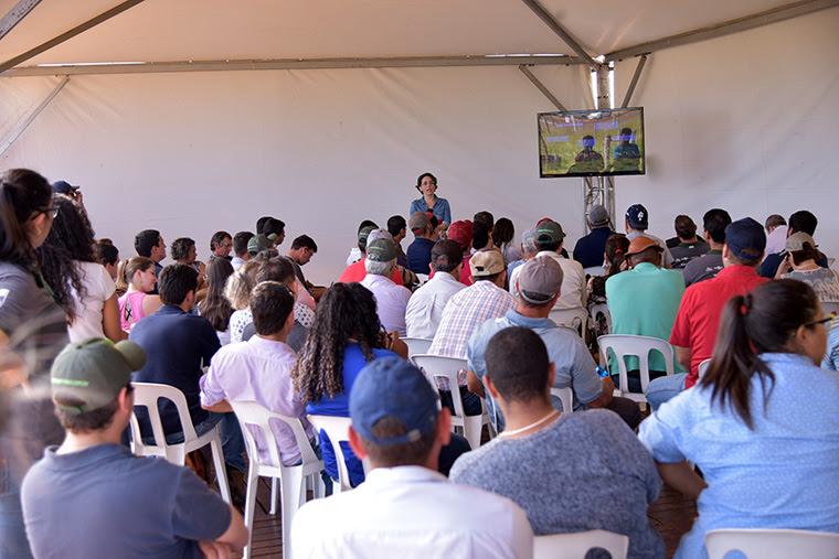 Com dia de campo, produtor de Nioaque tira dúvidas e pensa em investimentos em florestas