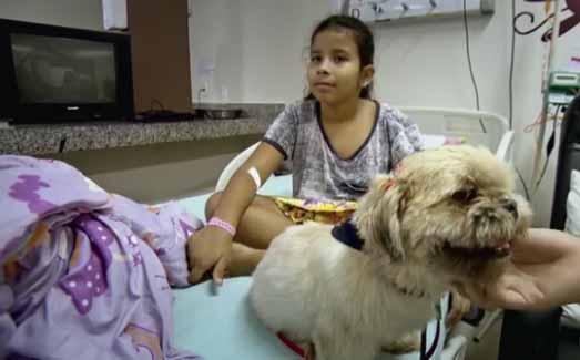 Cães visitam clínicas e hospitais e alegram pacientes
