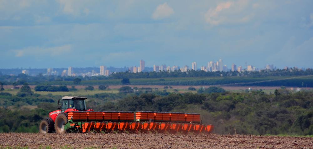Safrinha de milho começa bem e com boas perspectivas