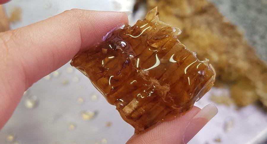 Apicultura atinge profissionalização em MS