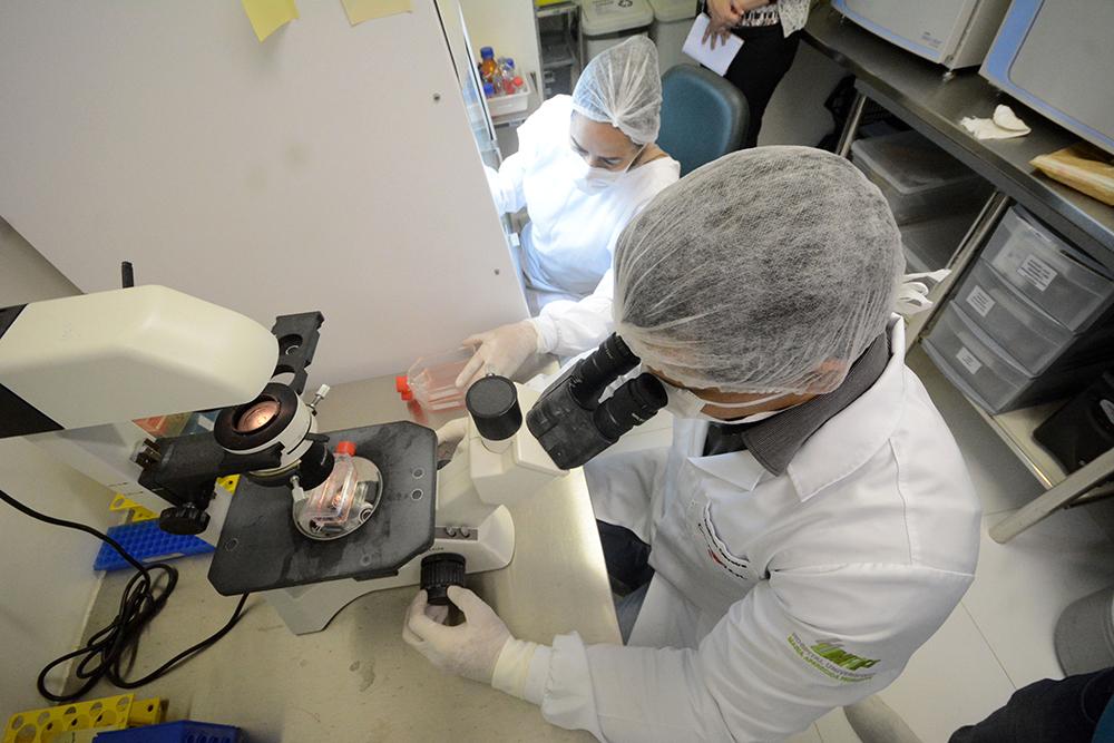 MS terá centro de terapia celular e transplante de medula