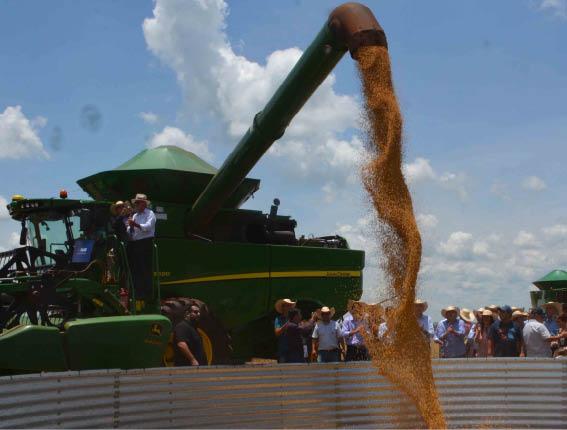 Municípios deixam de receber R$ 450 mi da Lei Kandir