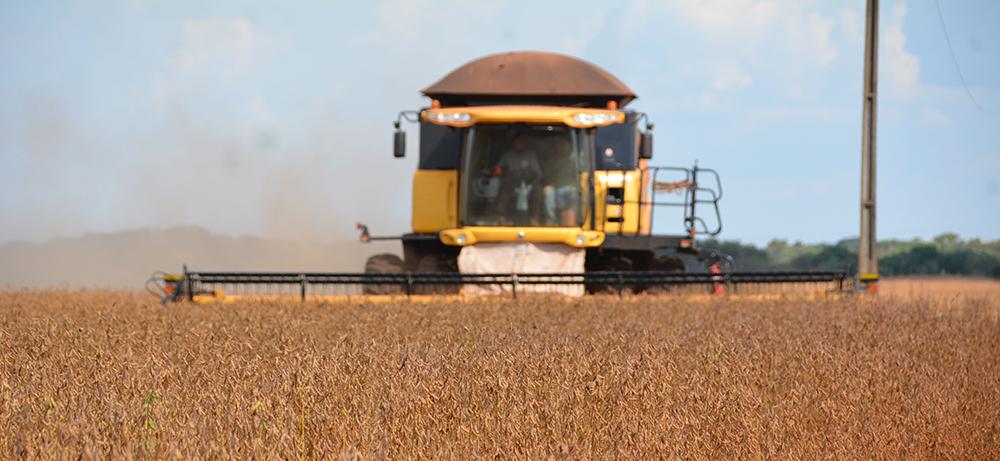Soja tem safra recorde no Estado, mas preço desanima