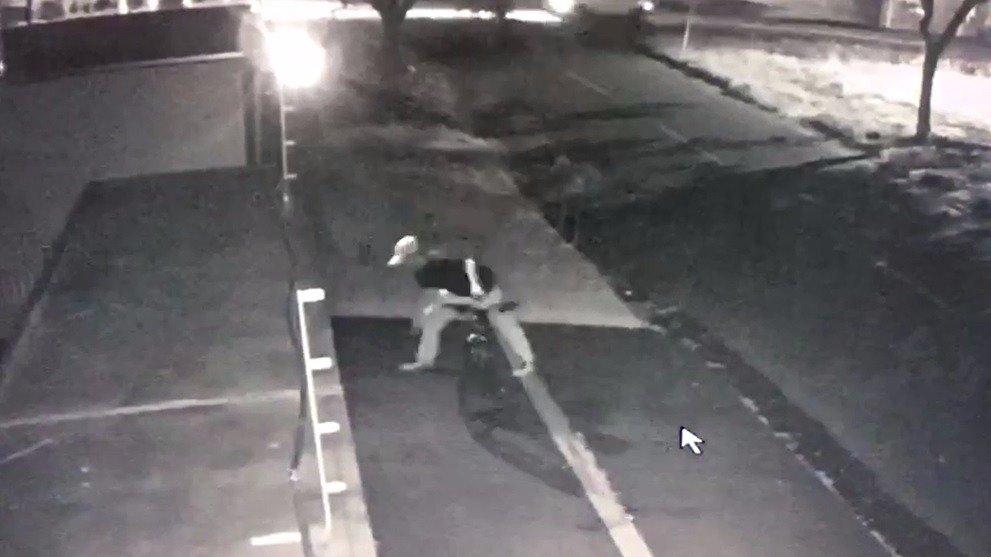 Câmera flagra ação de homem envenenando cães