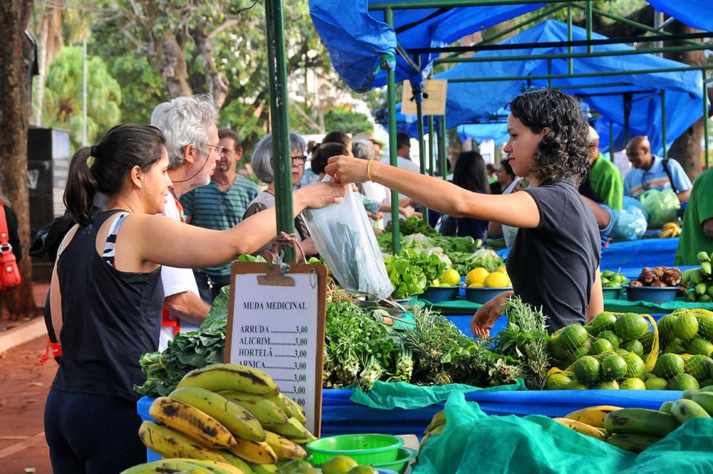 Prefeitura busca investimento para alavancar agronegócio