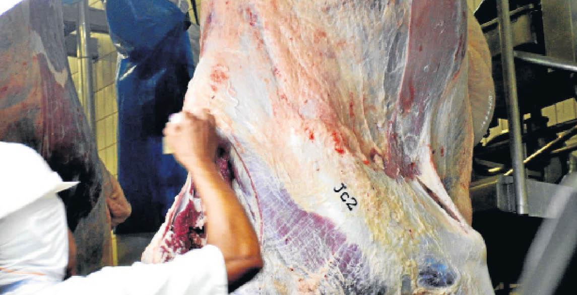 Estado terá missões dos EUA, Egito e Coreia do Sul