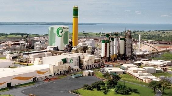 Eldorado Celulose nasceu em Três Lagoas sob corrupção