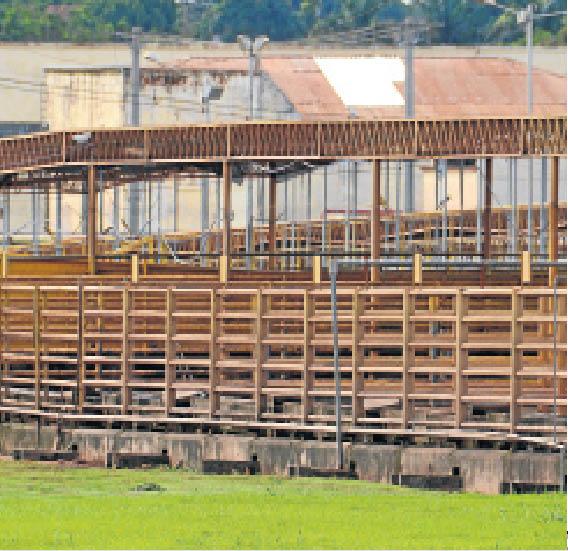 Pecuaristas têm dificuldades com promissórias da JBS