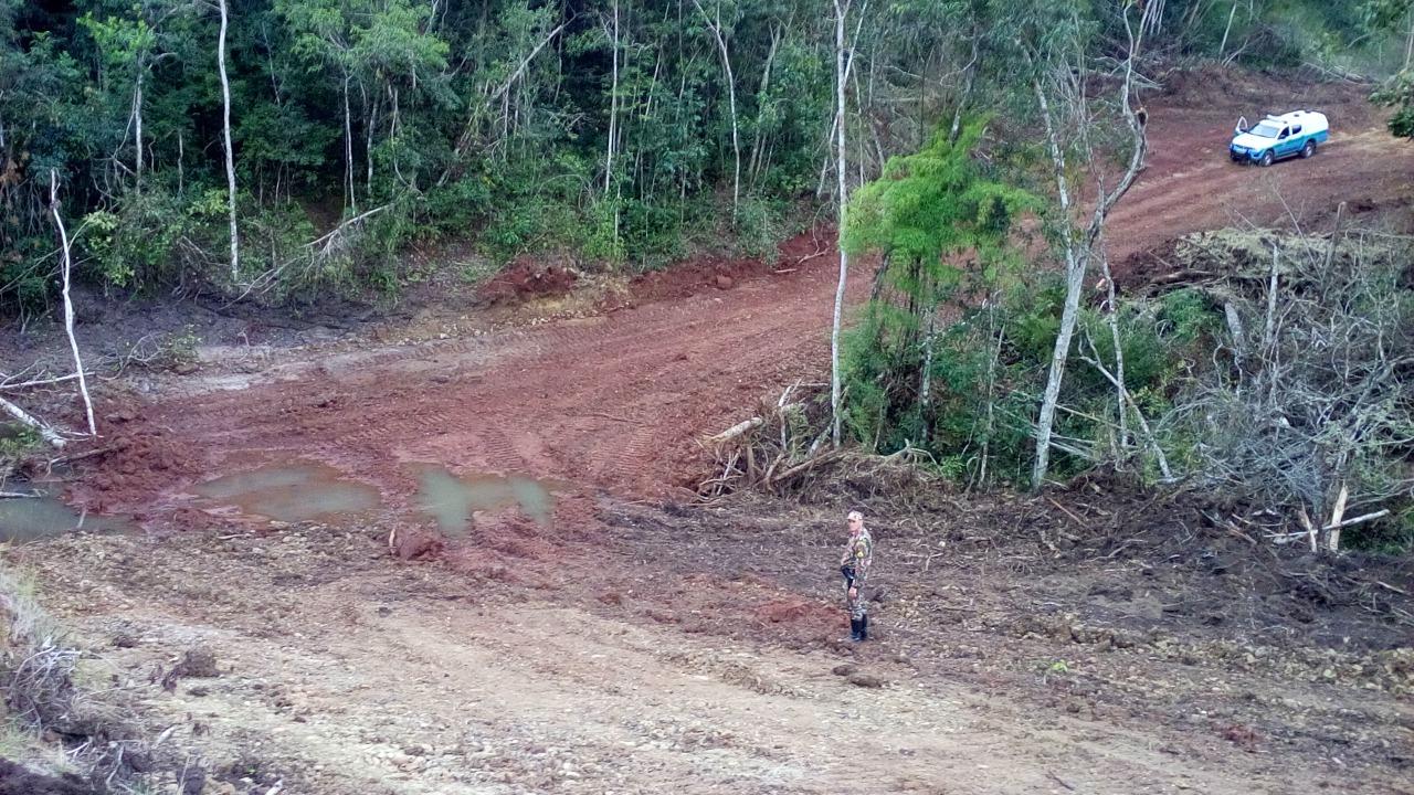 Fazendeiro é multado em R$ 37 mil por desmatamento ilegal