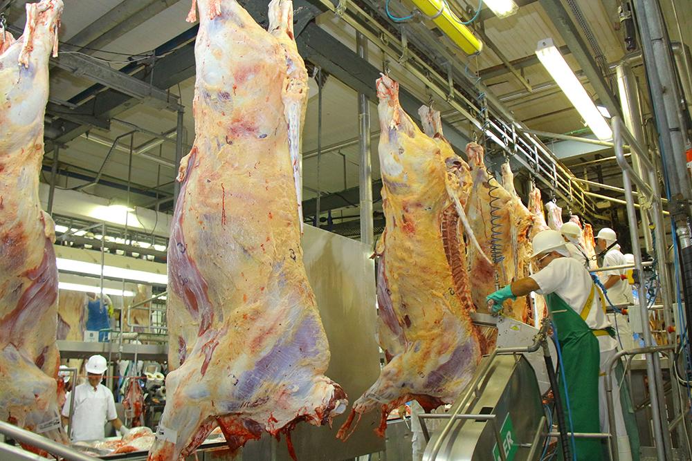 Pequenos frigoríficos terão incentivo em MS