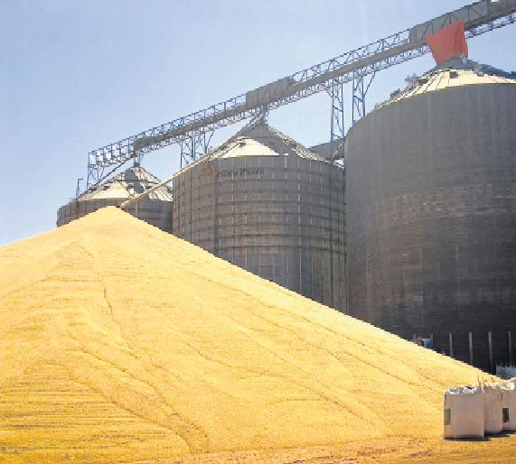 Plano safra vai ter queda nos juros e aumento do crédito