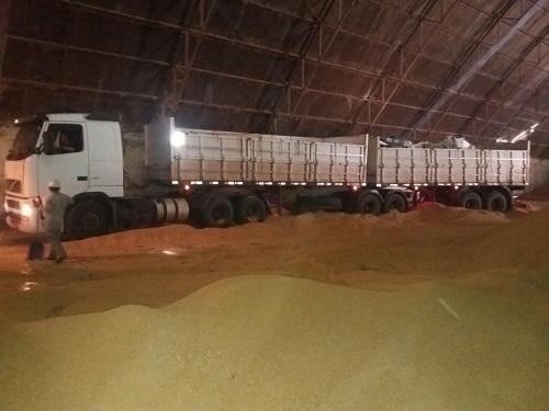 Carga recorde de maconha era de consórcio de traficantes