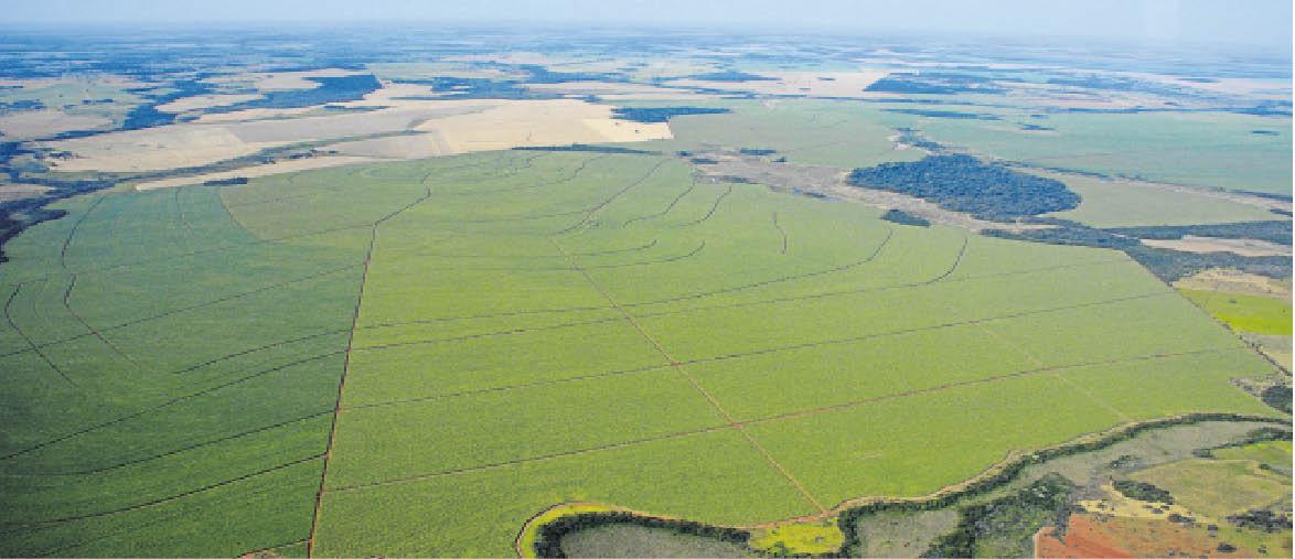 Cadastro ambiental rural atinge 91,5% em Mato Grosso do Sul