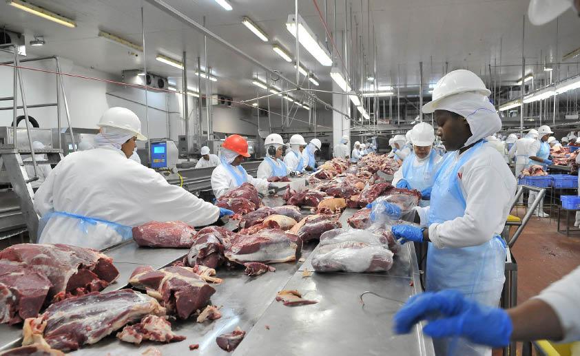 Estado aumenta exportação de carne bovina em 19,16%