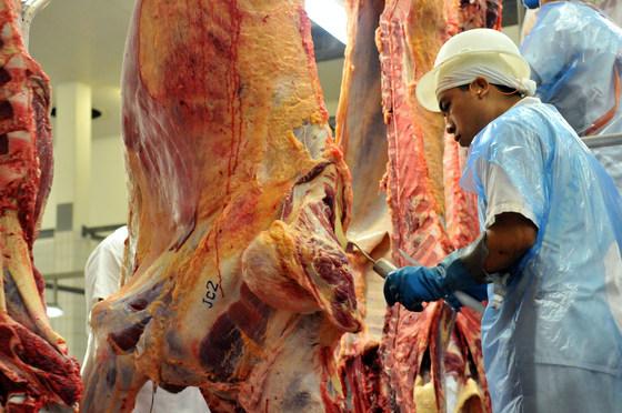 Ministro vai a EUA tentar retomar exportação de carne