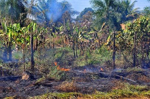Estiagem deve se prolongar e ar ficará ainda mais seco