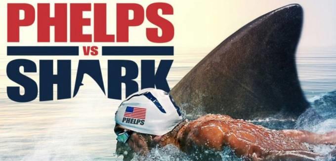 Duelo Phelps x tubarão vira mico nos EUA