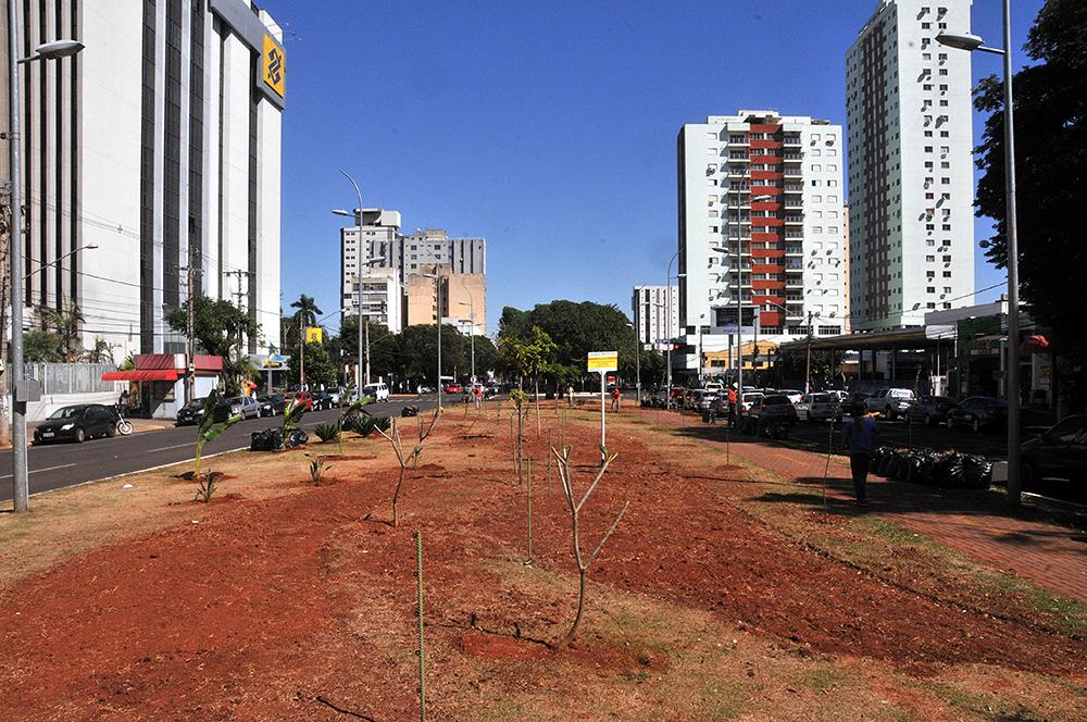 Em meio a crise, iniciativa privada banca obras na capital