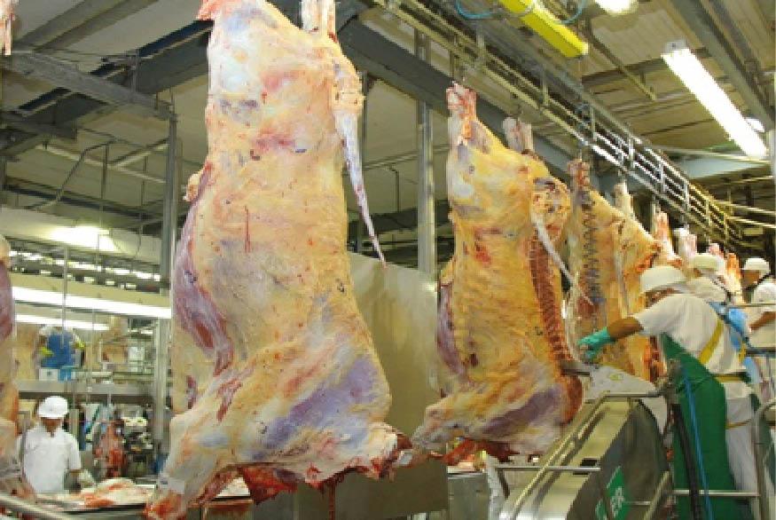 Cresce procura pelo programa Precoce MS