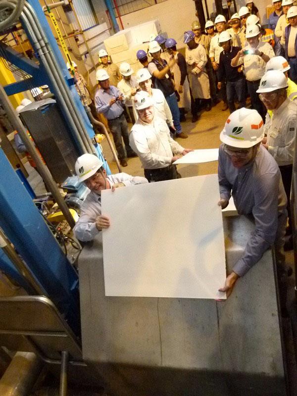 MS pode se firmar como maior produtor de celulose do País
