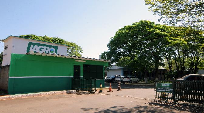 Iagro alerta para casos de Raiva Bovina em Aral Moreira, Amambai e Coronel Sapucaia