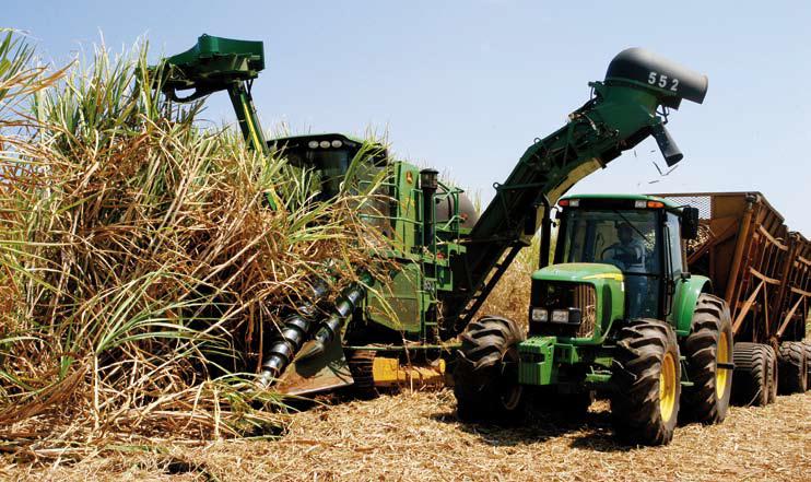 Colheita da cana avança, mas rendimento cresce pouco