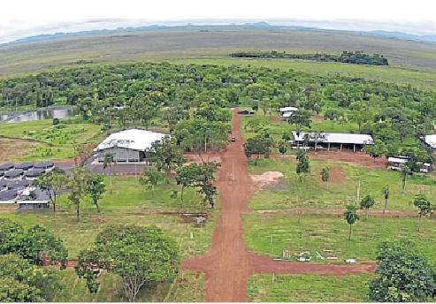 Frigorífico iniciará abates de jacarés em MS