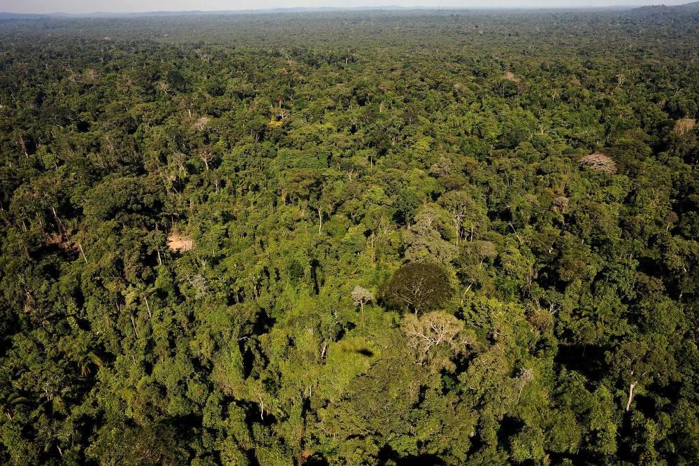 Governo suspende decreto que extingue reserva na Amazônia