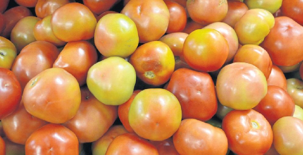 Cesta básica recua 7,09%, maior índice entre capitais do País