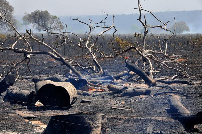 Incêndio em 4,5 mil hectares causou perda de R$ 21,2 mi