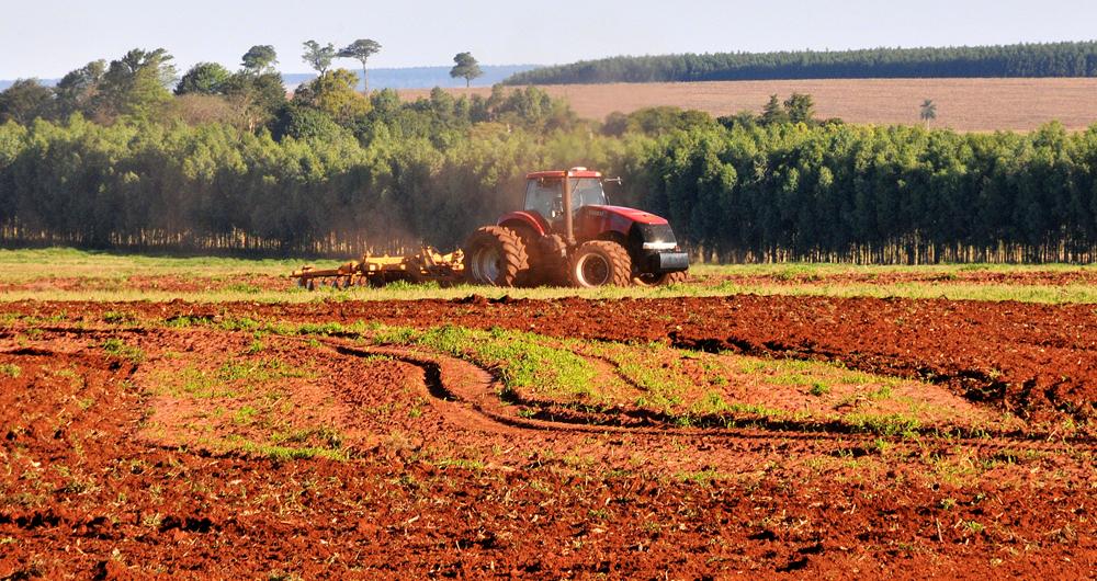 Liberação de crédito aumentou 40% no Estado