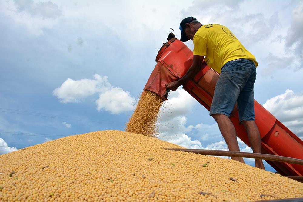 MS ficou em 8º lugar entre os principais estados produtores