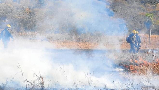 Governo federal e BID vão investir mais de R$ 30 milhões para evitar queimadas