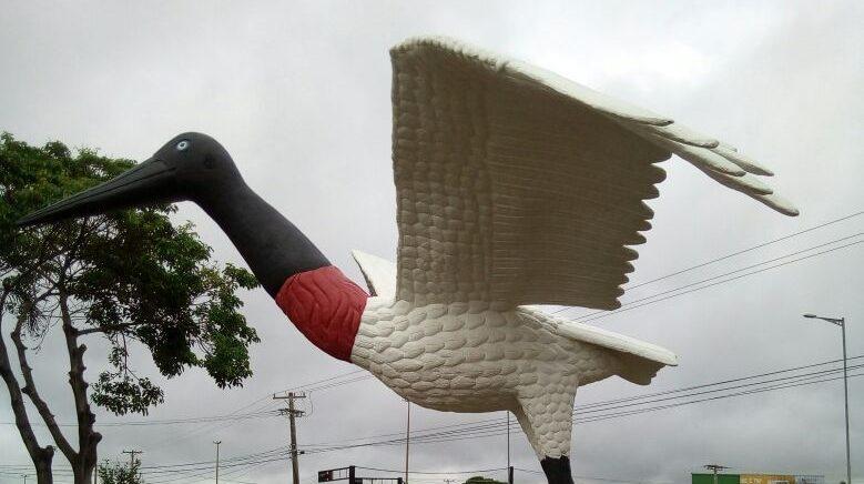 Concurso cultural vai eleger nome dos tuiuiús do aeroporto