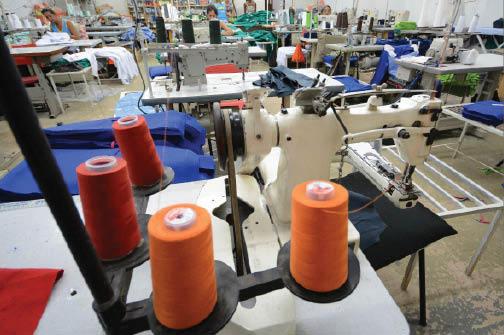 Adesão ao Fadefe atraiu quase 500 empresas em MS