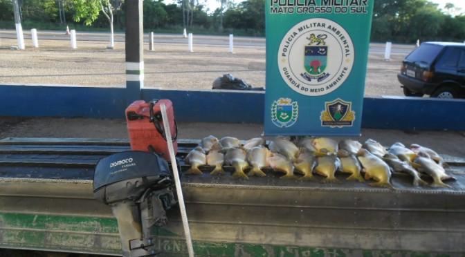PMA autua 22, apreende 304 kg de pescado e aplica R$ 54,1 mil em multas em dois meses da operação piracema