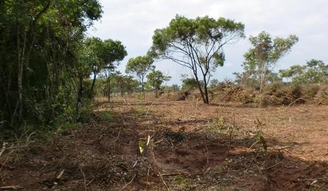 PMA autua pecuarista em R$ 4,5 mil por desmatamento ilegal