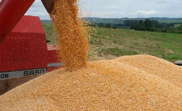 MS começa 2016 com superávit de US$ 1,3 bi