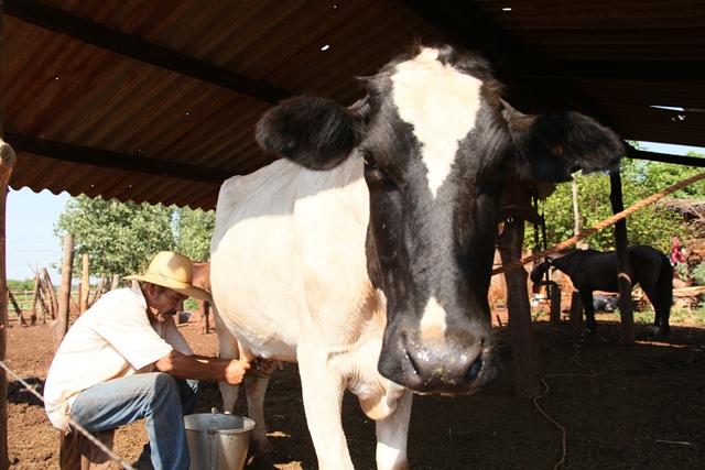 Senar/MS promove amanhã primeiro encontro presencial do Pronatec Agro EaD