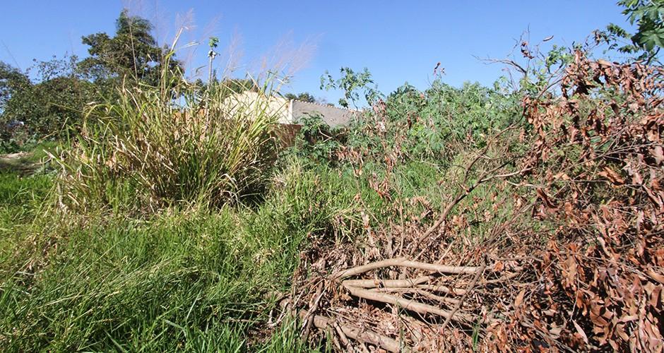 Multa para terreno sujo pode ultrapassar R$ 8 mil