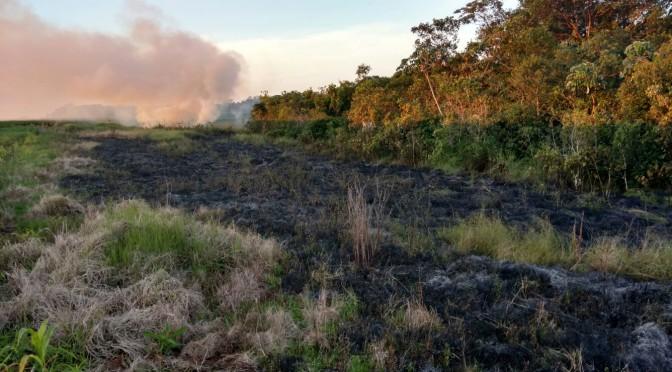 PMA autua arrendatário de fazenda em R$ 15 mil por incendiar mata ciliar de nascentes
