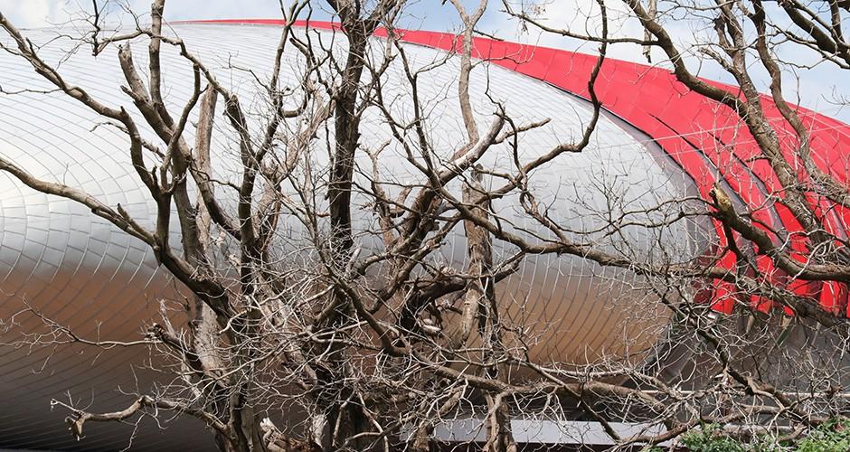 Judiciário tenta acordo para retomada do Aquário