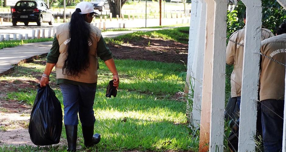 Imasul intensifica combate ao Aedes aegypti nos parques urbanos