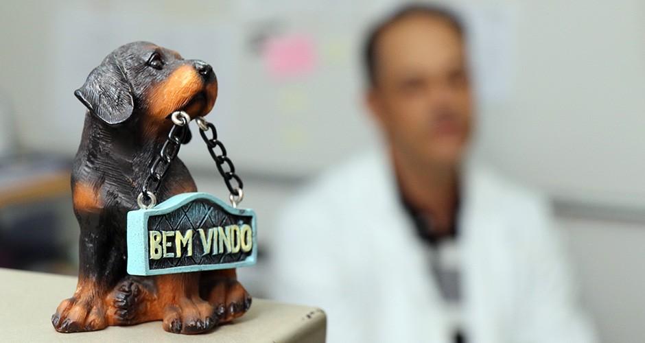 Eutanásia de cães está perto do tiro de misericórdia