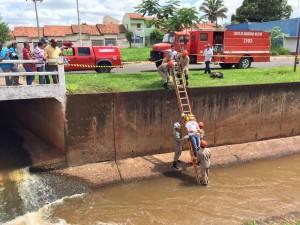 Bombeiros treinam resgate e içamento de vítima em Paranaíba