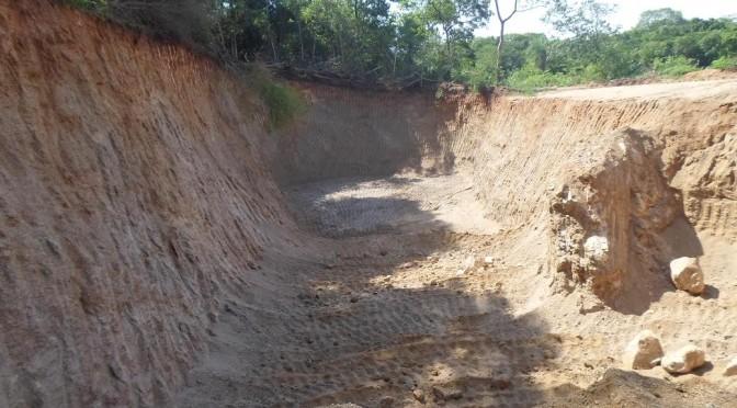 Polícia Ambiental autua empresa em R$ 15 mil por degradação de área protegida no Pantanal