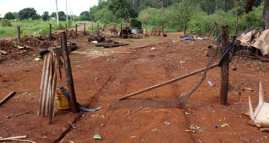 Touros escapam e causam estragos na Capital