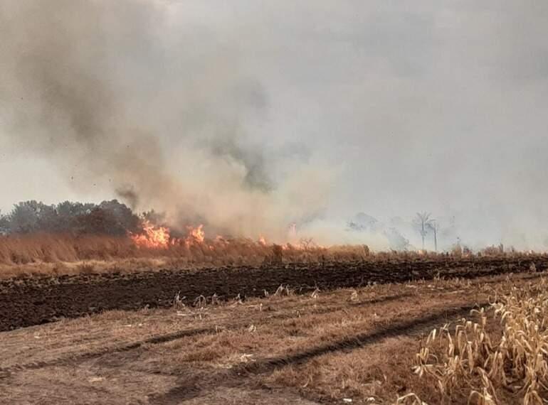Governo homologa emergência por incêndios em MS