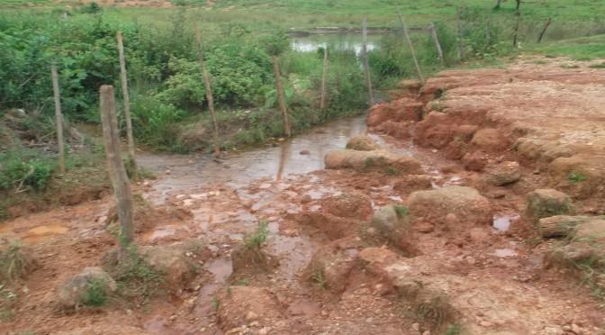 Pecuarista é multado pela PMA em R$ 15 mil por assoreamento e destruição de matas ciliares